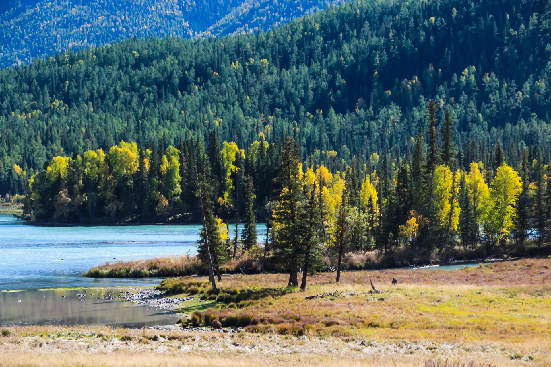 千年美梦，新疆的神秘魅力散文之旅